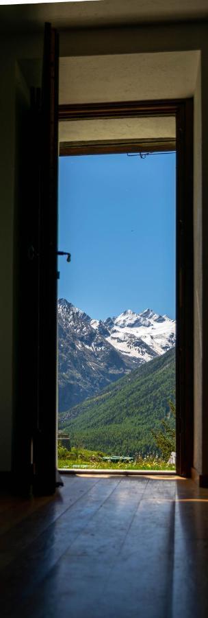 Nido Delle Aquile Apartment Cogne Luaran gambar